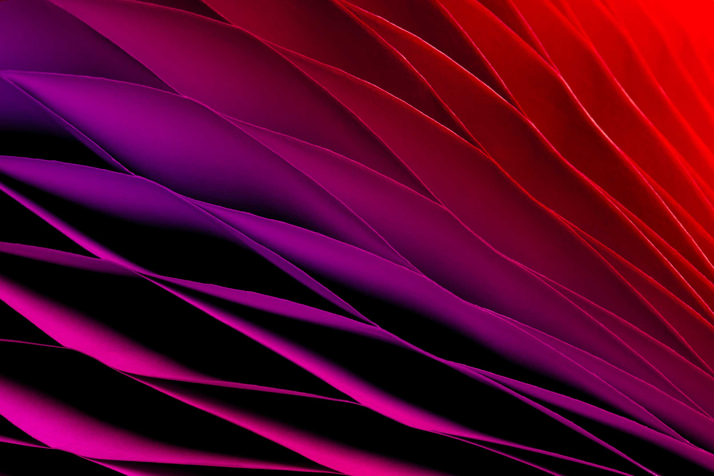 Pink and purple gradient waves.