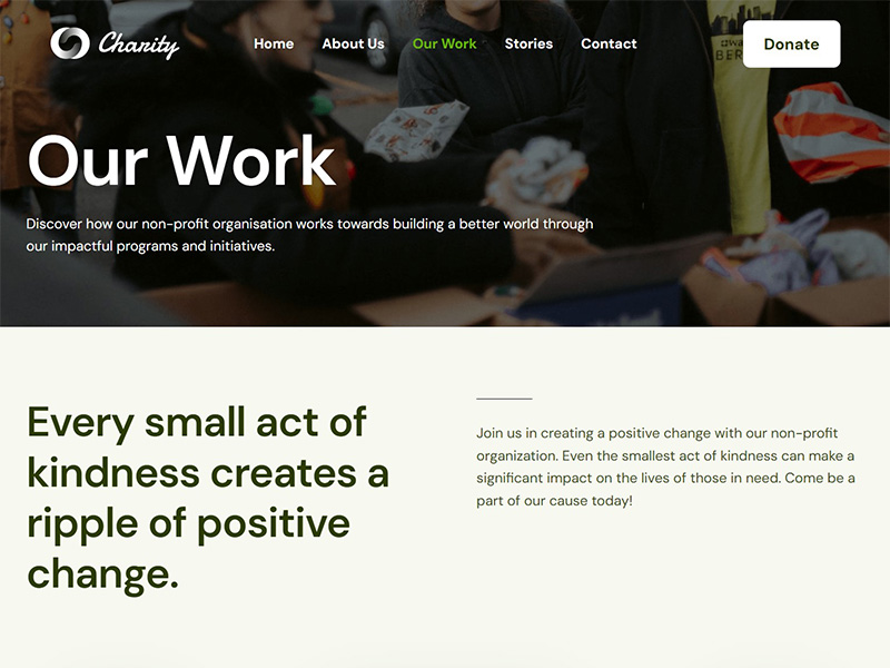 Professional Web Design 41 Website template.