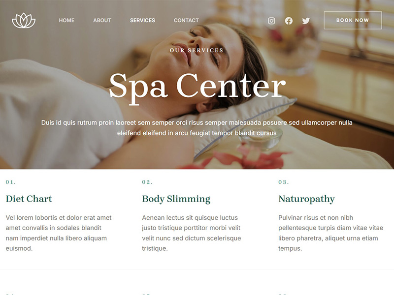 Professional Web Design 36 Website template.