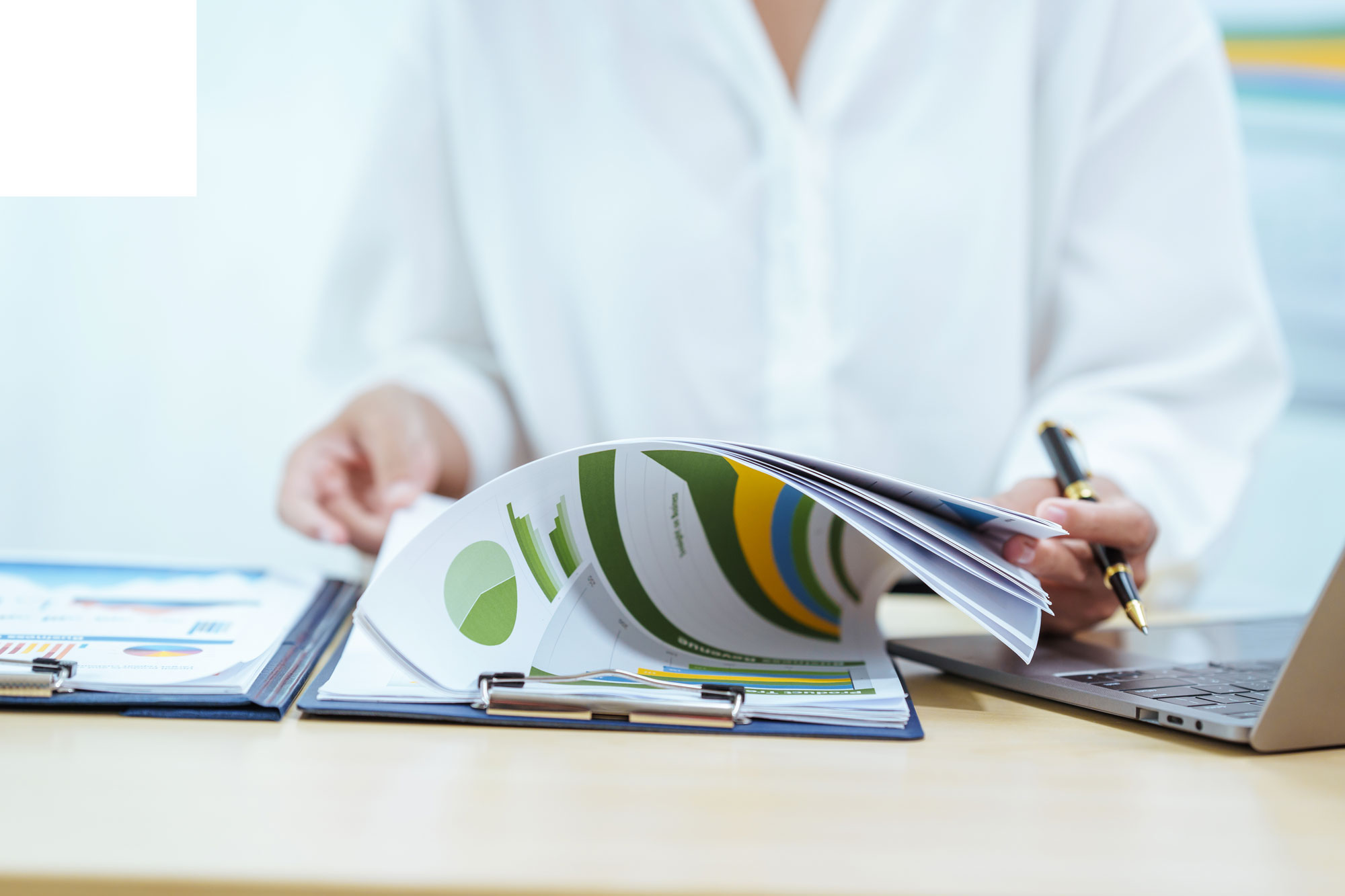 Professional Services Menu 6 Business Printing materials including colorful charts and reports in a binder, reviewed by a person in a white blouse using a laptop and pen.